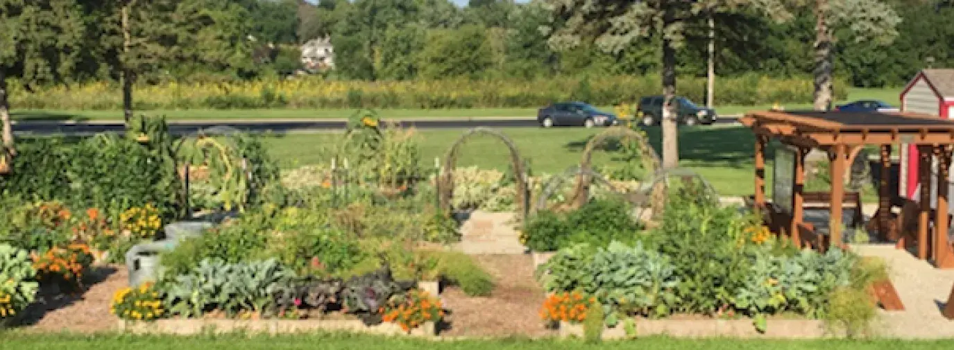 Image: school climate victory garden