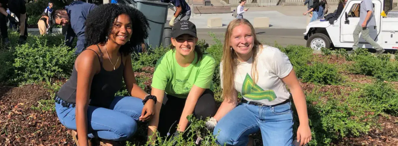 re.wild Your Campus Ambassadors creating regenerative spaces on their campus.