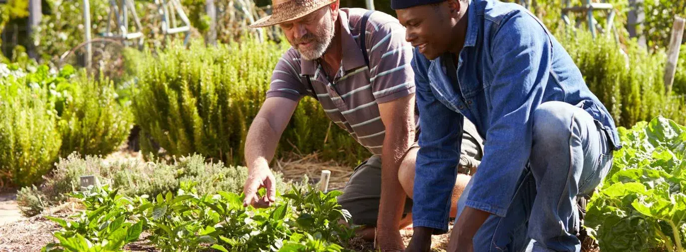 Climate Victory Gardens Resources