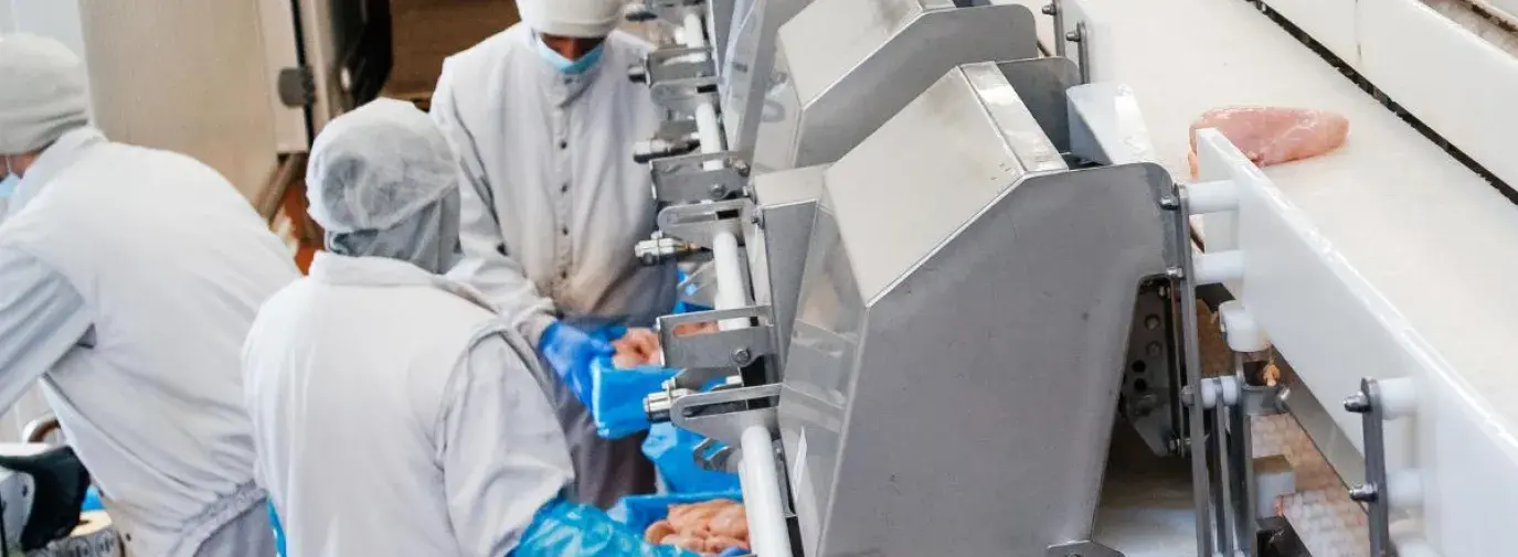 End Child Labor in Meatpacking