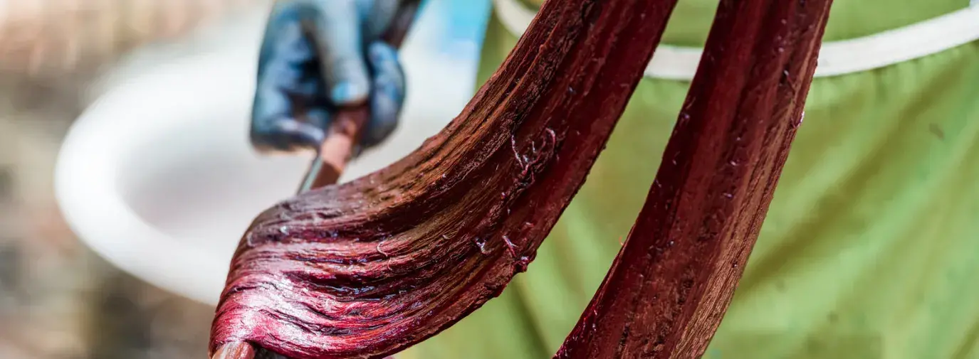 dyer with stained hands and fabric