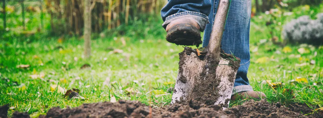 Image: boot pushing shovel into the dirt. Topic: Regenerative Agriculture & Farming to Reverse Climate Change