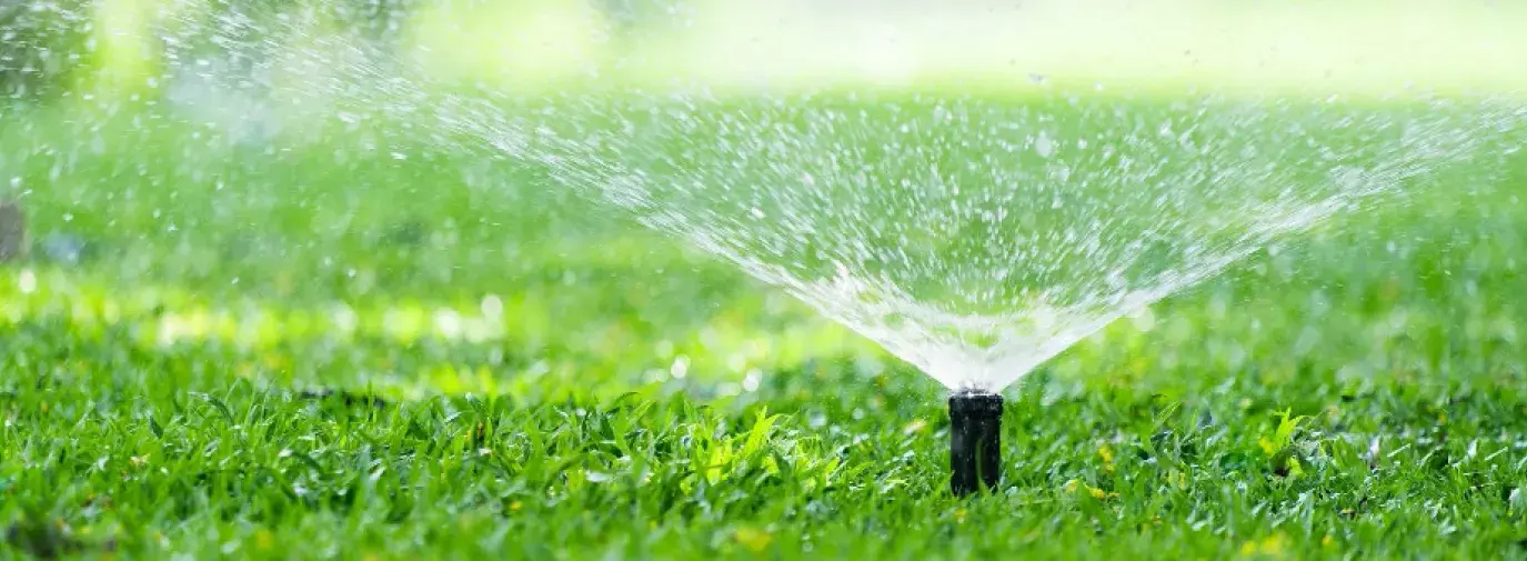 sprinkler in green lawn