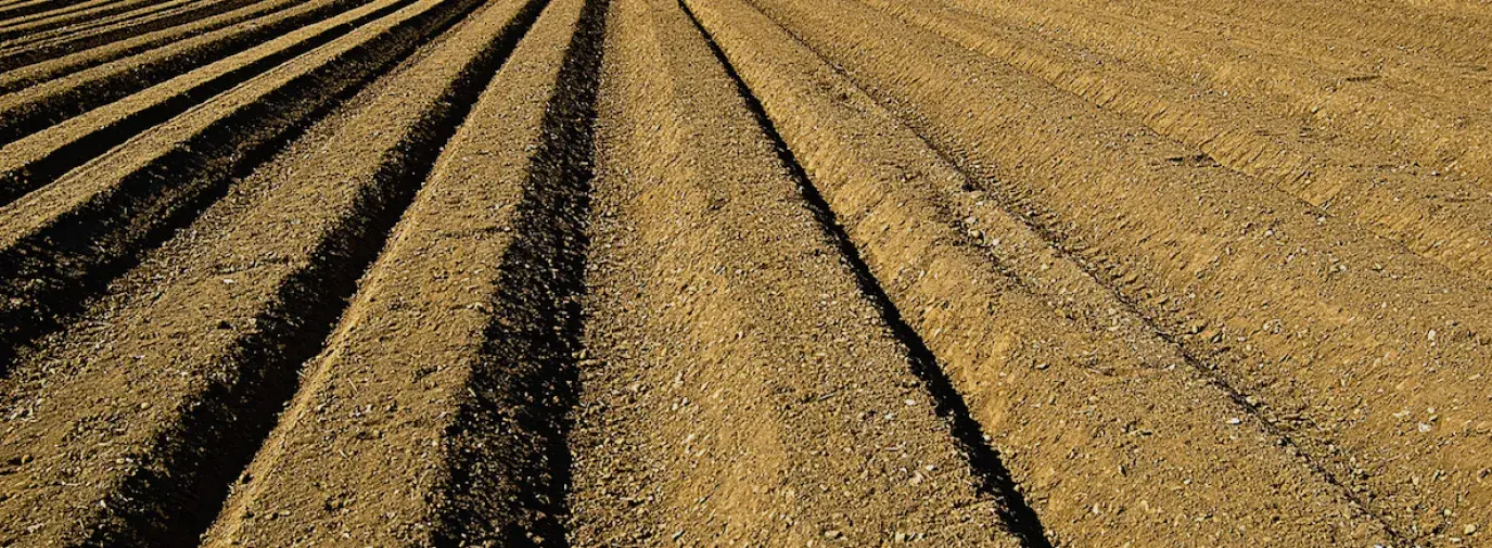 Image: field ready for planting. Topic: Industrial Agriculture
