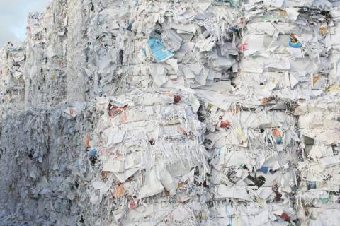I made recycled paper at home and this is what happened, by Cal Pla, Age  of Awareness