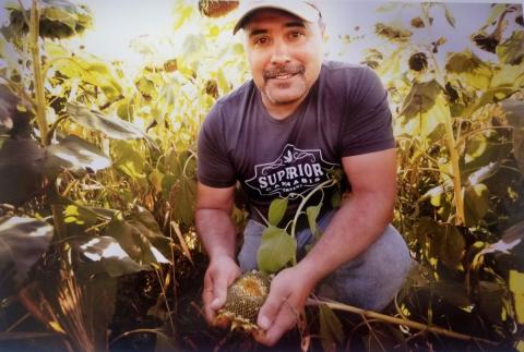 Tom Cotter squatting down to reveal the seeds in a sunflower. He is smiling at the camera.