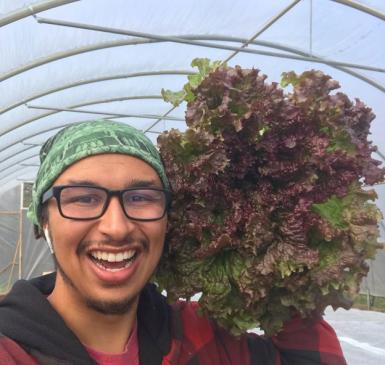 Old City Acres founder, Alexander Ball, with a gorgeous head of lettuce