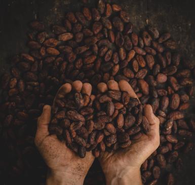 Cocoa