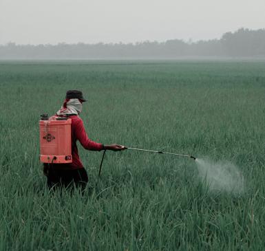 The Pesticide Problem