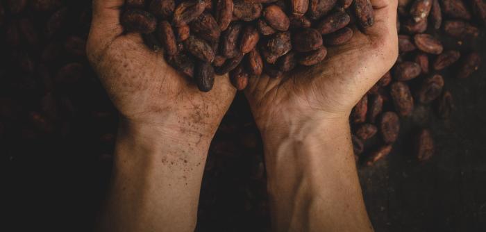 Cocoa