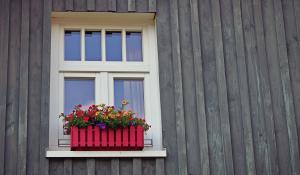Image: energy efficient window with flower box 