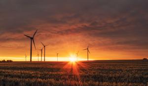 Image: wind turbines in a field against the setting sun. Title: Is Verizon’s Green Bond Tipping the Scales on Clean Energy?