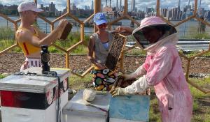 three people handling beehives outside NYC