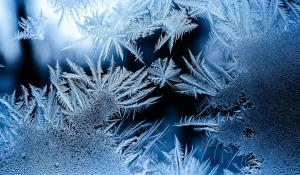 Greenwashing Again: Coolants Drive Climate Change and Forever Chemicals 