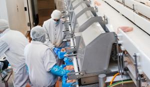 End Child Labor in Meatpacking