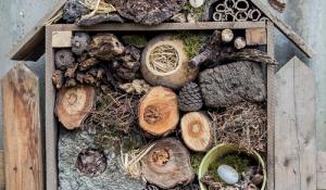 An insect hotel made out of wood, pine cones, moss, and other found objects.