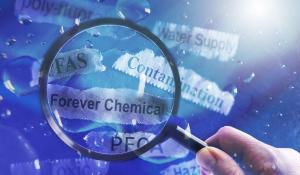 Forever Chemicals under a magnifying glass