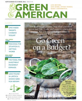 Go green on a budget cover