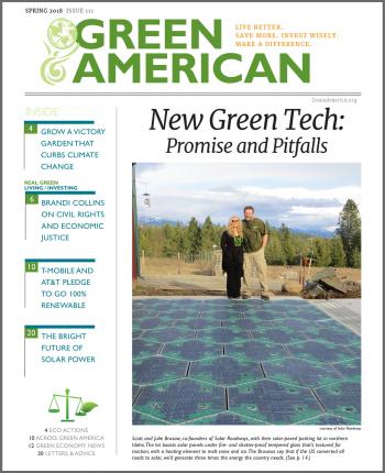 New Green Tech Promise And Pitfalls Green America - 